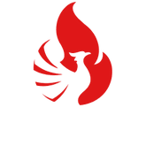 FENIX SHIPPING SA DE CV