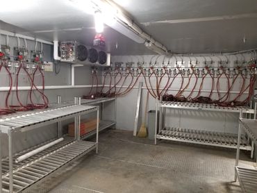 Beer line cleaning wilmington nc draft beer line cleaning wilmington nc draft beer line cleaning