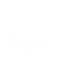 Ambiance salon