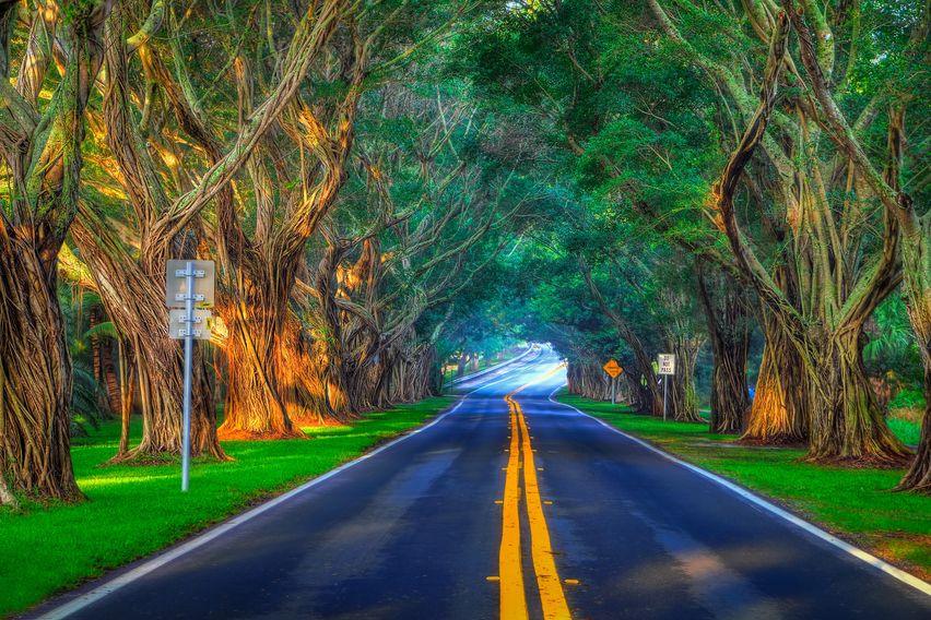 Light at the end of the tunnel.