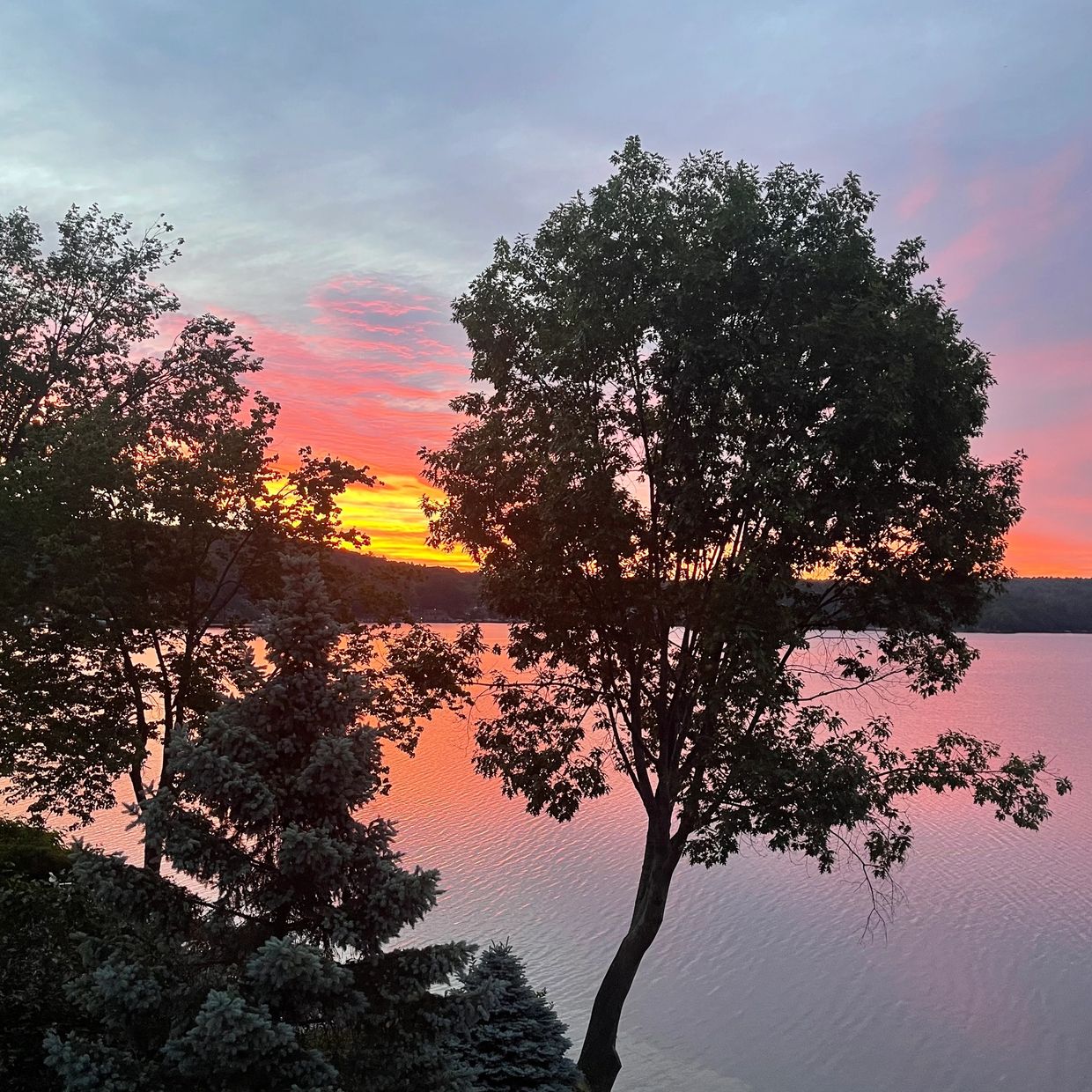 a view of trees and a body of water