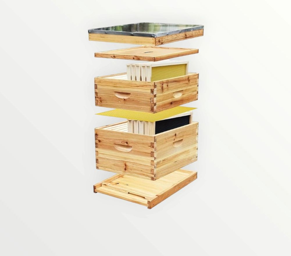 Hives and Components