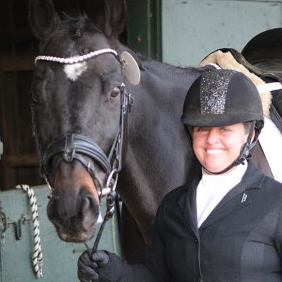 Western Show Halter with Lead - Hampton Riding Centre