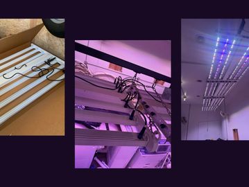 LED grow lights being unpacked, installed, and turned on indoors.