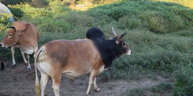 image72