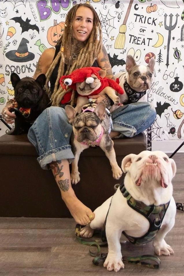 Find Your Perfect Companion at Freedom Frenchie Rescue