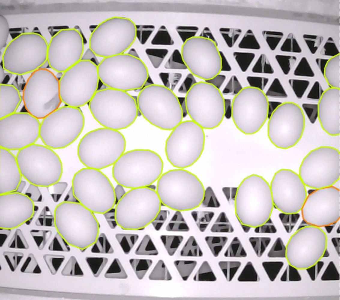 egg quality inspection system