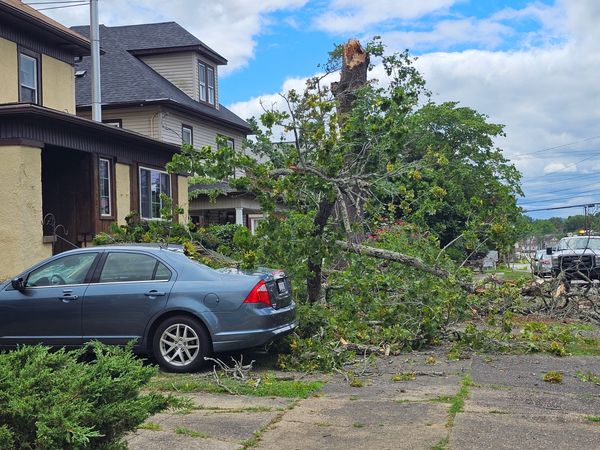 An emergency storm job the crew responded to and cleaned up in record time! 