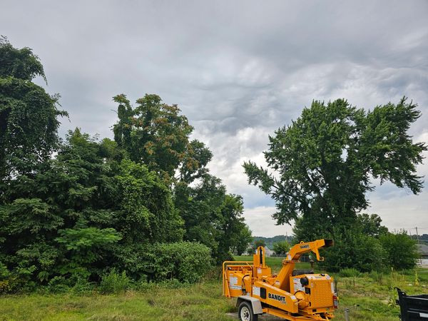 Land clearing hear we come! 