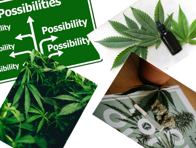 Möglichkeiten von Cannabis