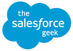 The Salesforce Geek