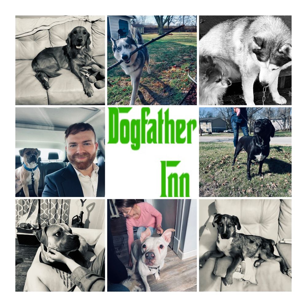 A collage of dogs that have been walked or boarded at the Dogfather Inn.