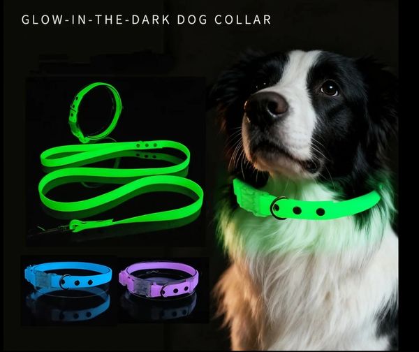 Glow in the dark dog collars
Keep your dog safe at night