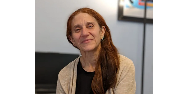 Photo of Dana (white woman with long brown hair sitting in front of a monitor)