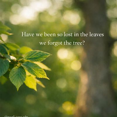 Green leaves with a blurred tree background and a reflective quote about perspective.
