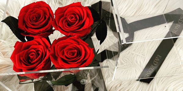 Perfect gift for Valentine’s Day 