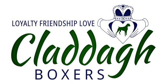 Claddagh Boxers