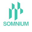 Somnium Commercial Building Contractors