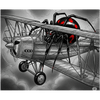 Black Widow Aviation