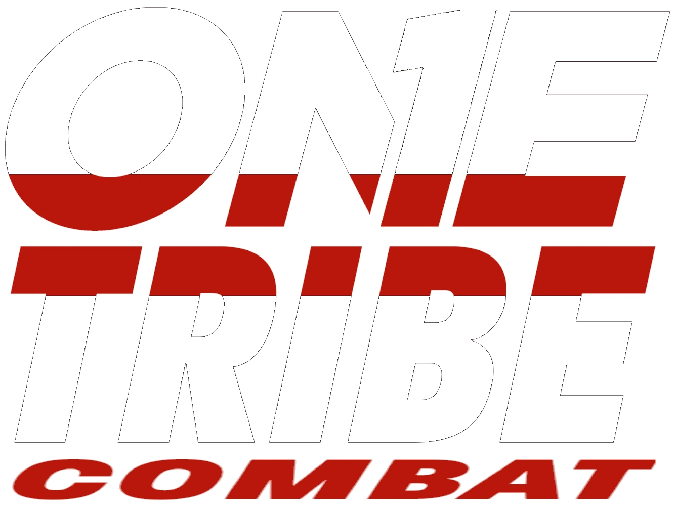 One Tribe Combat Training Collective gym photo