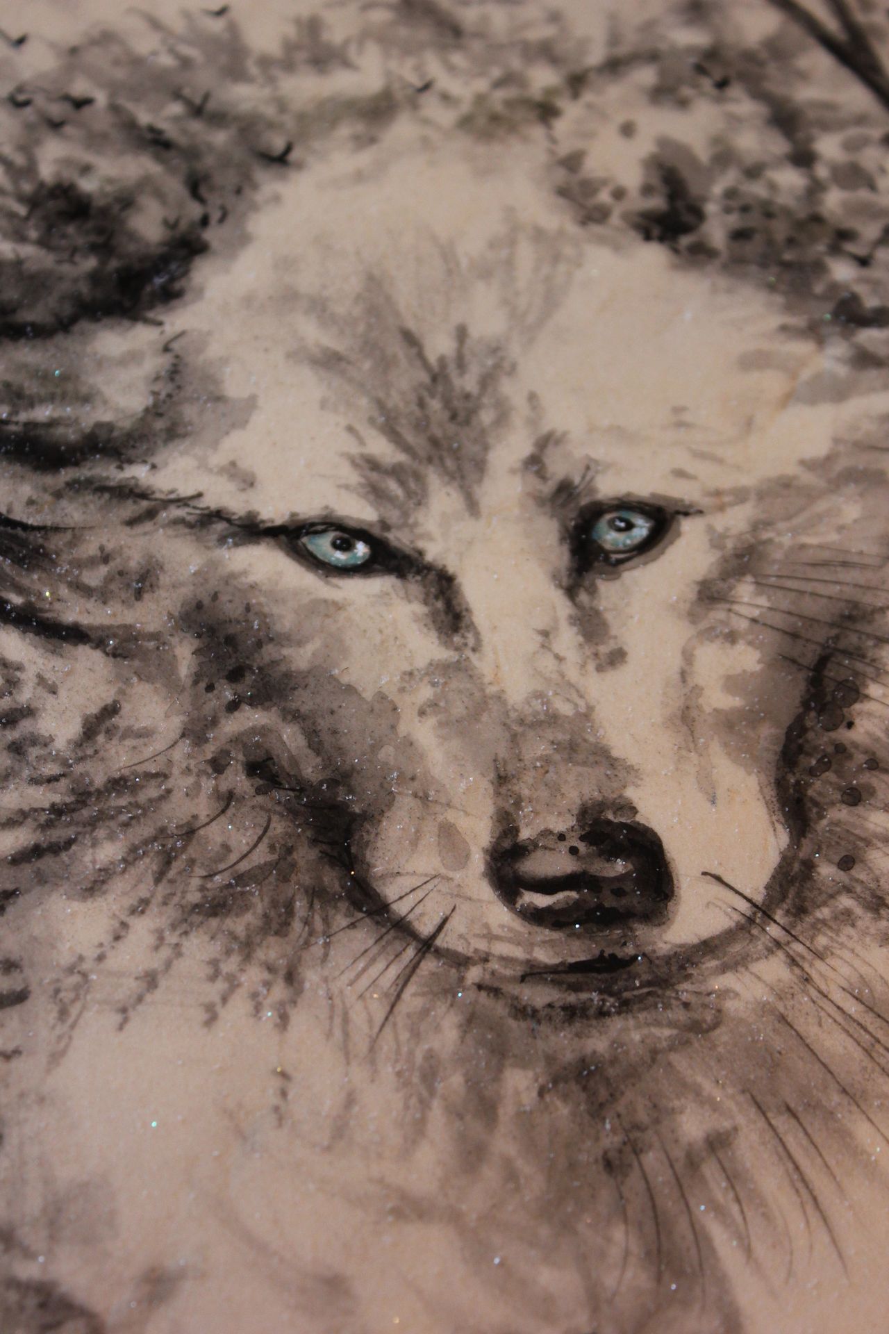 white wolf with blue eyes