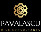 pavalascu.com