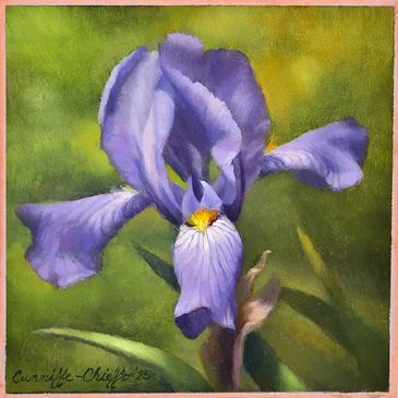 Janet Cunniffe-Chieffo Studio