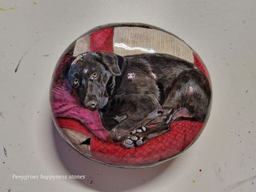 Hand-painted rock art of a black dog resting on red and pink cushions.