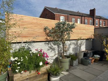Backyard garden with plants and wooden fence.