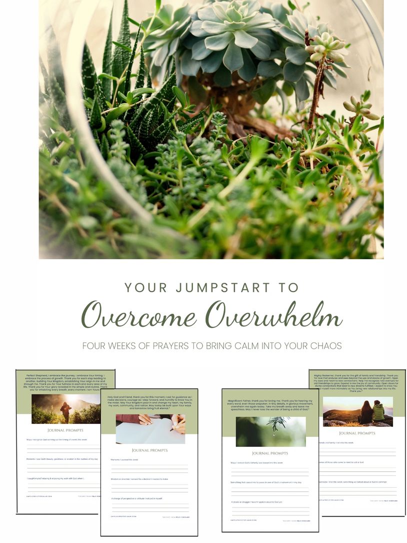 plants growing in a terrarium, journal-prompt downloads
