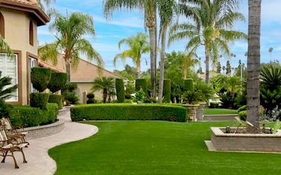 Artificial turf lawn in residential neighborhood. Artificial grass lawn.