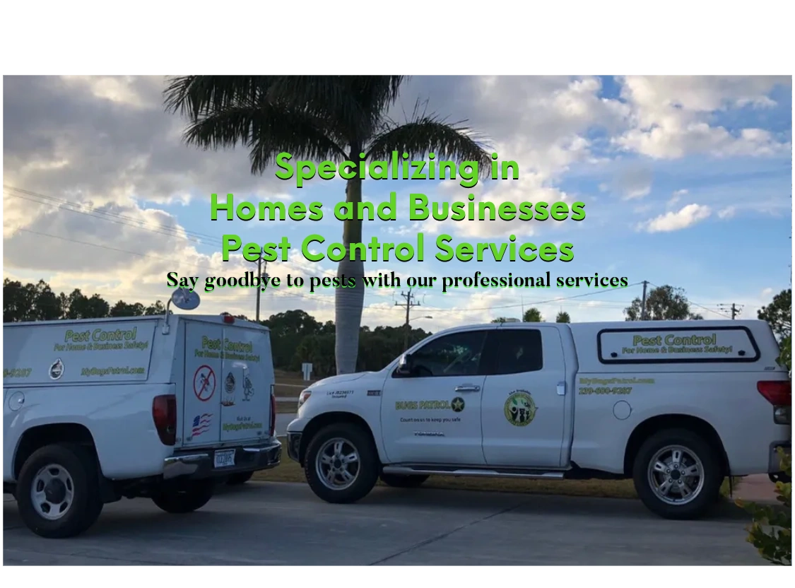 Expert Bed Bug Treatment Services