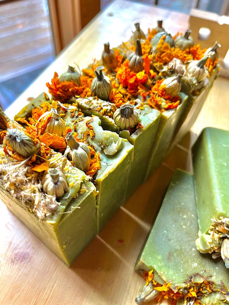 Handmade green soap bars topped with dried flowers and seed pods.