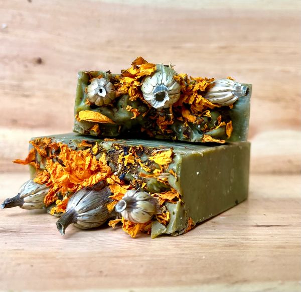 FALL SOAP SCENT. IMAGE OF TWO NEW FALL COLLECTION. HOLIDAY SPICE SCENT.