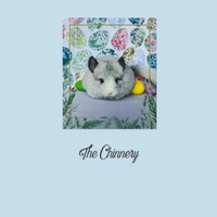   The Chinnery FL
Chinchillas for our home and yours!