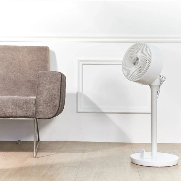 Steam Cleaning, Commercial Cleaning, Upholstery Cleaning, Professional Cleaning, House Cleaning