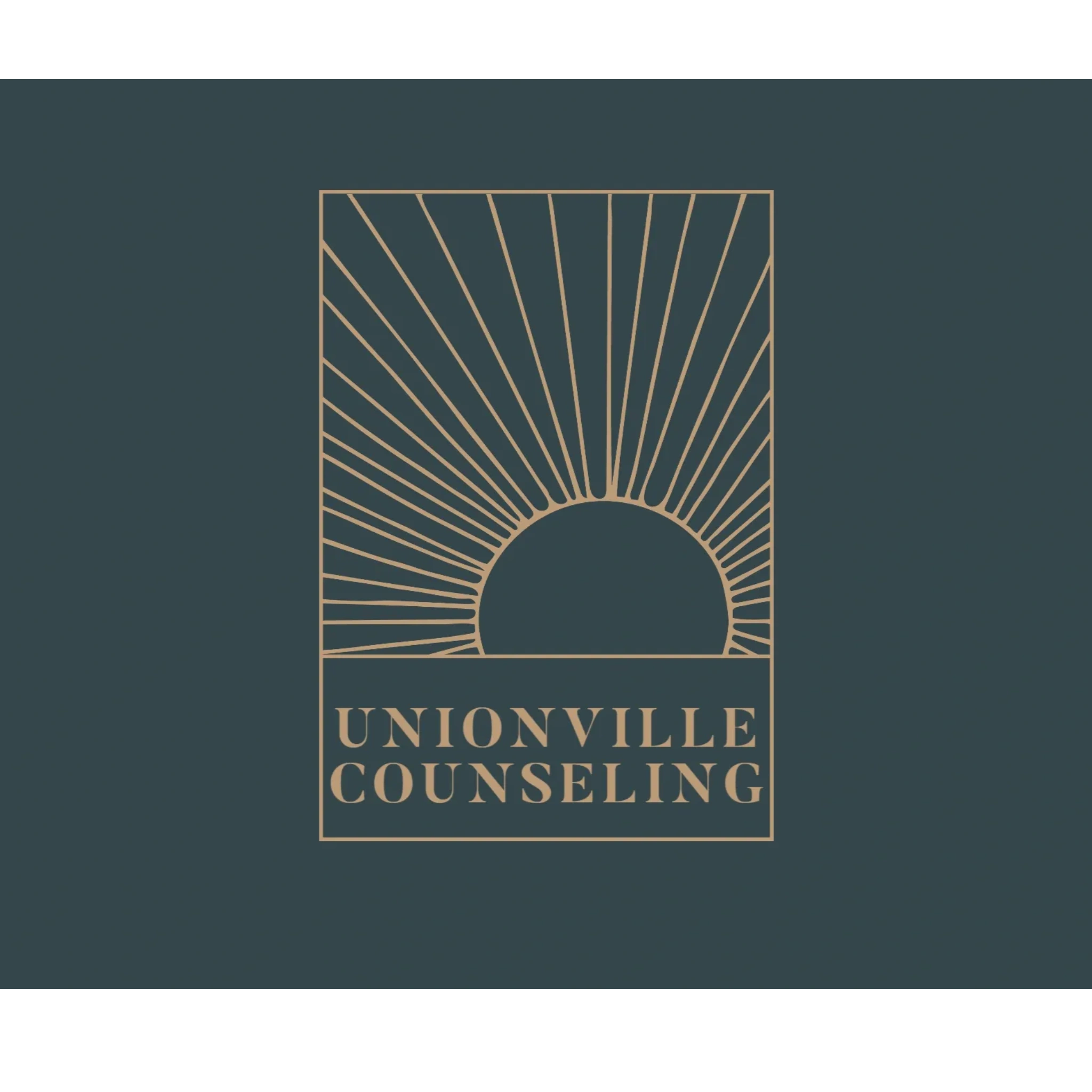 Professional Counseling Services