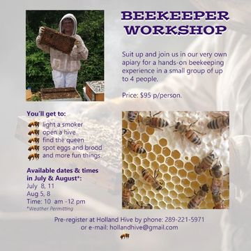 Beekeeping workshop July 8 & 11, August 5 & 8