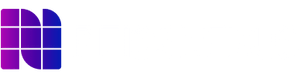 Reiss Nexus IT Solutions and Consulting 