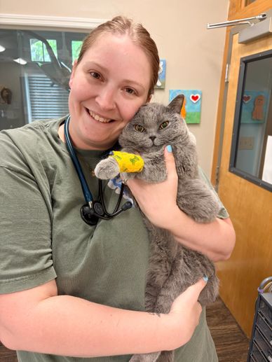 Veterinarian smiling while holding a gray cat with a yellow bandage on its leg.