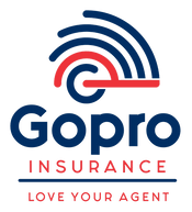 Tax pro go