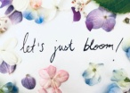Let’s Just Bloom!