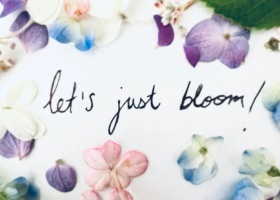 Let’s Just Bloom!