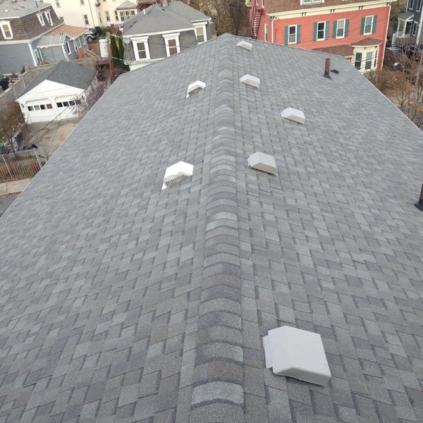 shingle roof