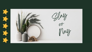 Slay or Nay Reviewer