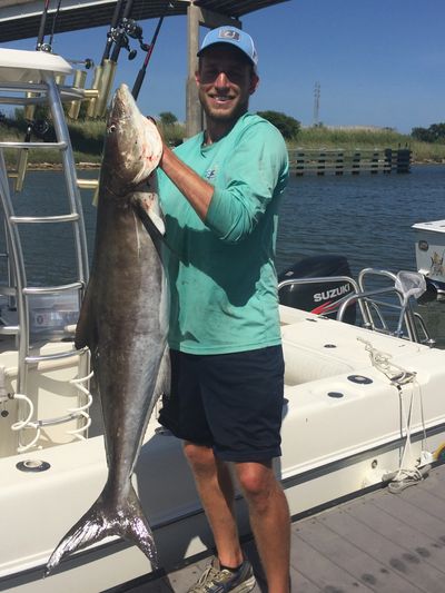 galveston-texas-cobia-fishing