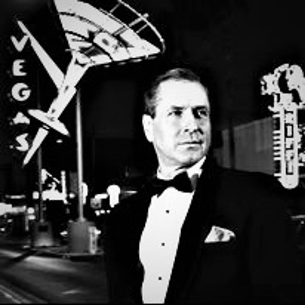 Bruce Hammond Vocalist/Actor
Bruce is currently performing on cruise ships around the world.