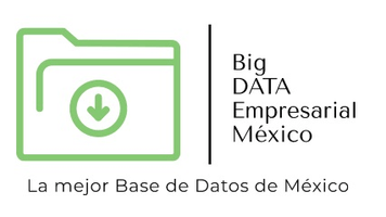 Big DATA Empresarial México
