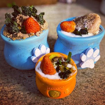 Three colorful dog treat pots with toppings.