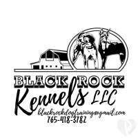 Black Rock Dog Training